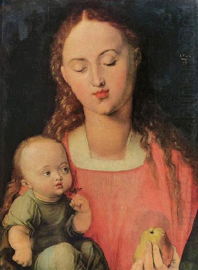 Maria mit Kind, Albrecht Durer